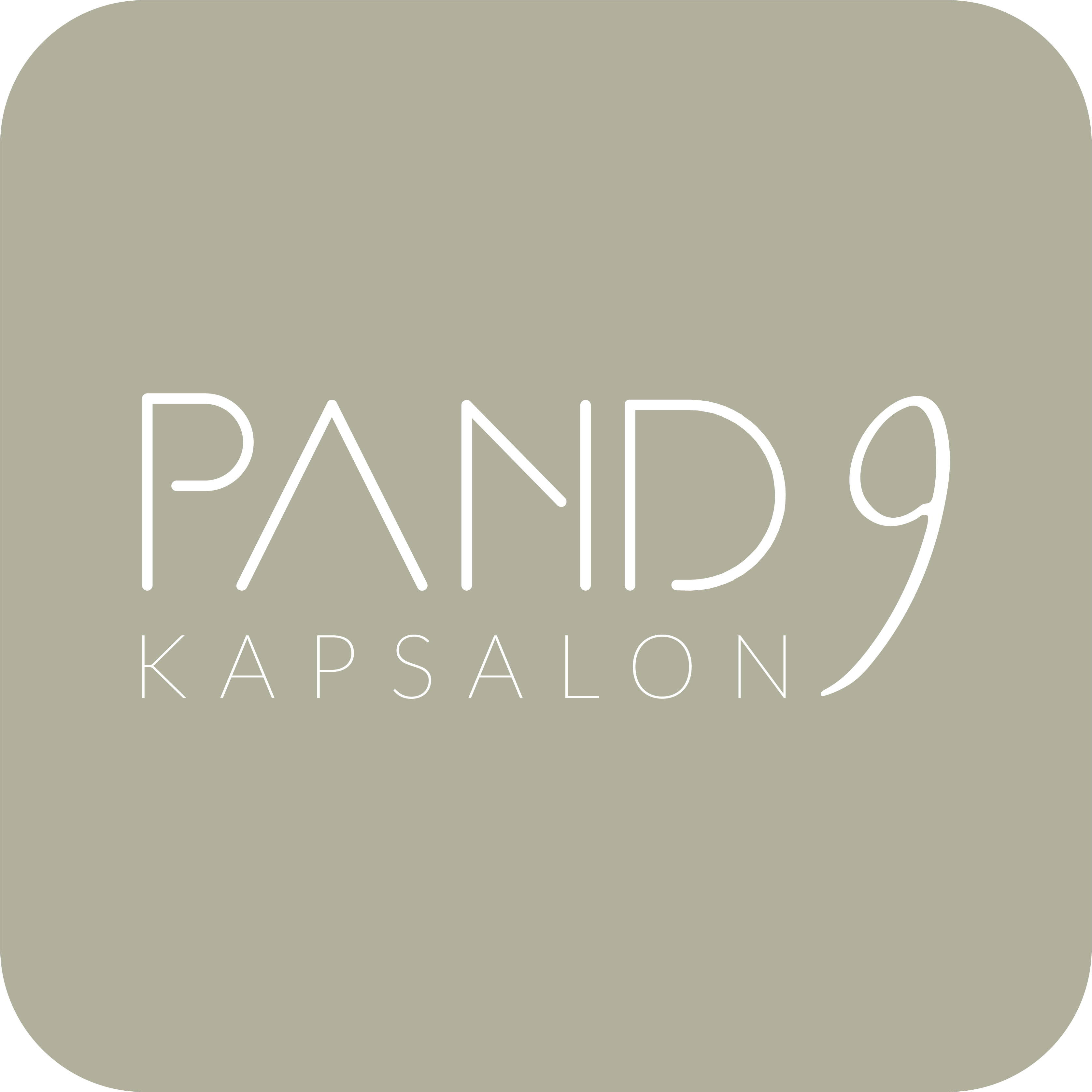Pand 9 kapsalon