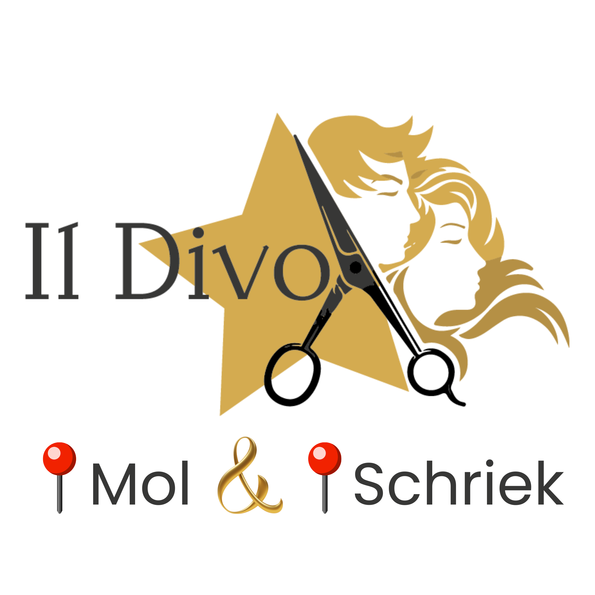Kapsalon il divo