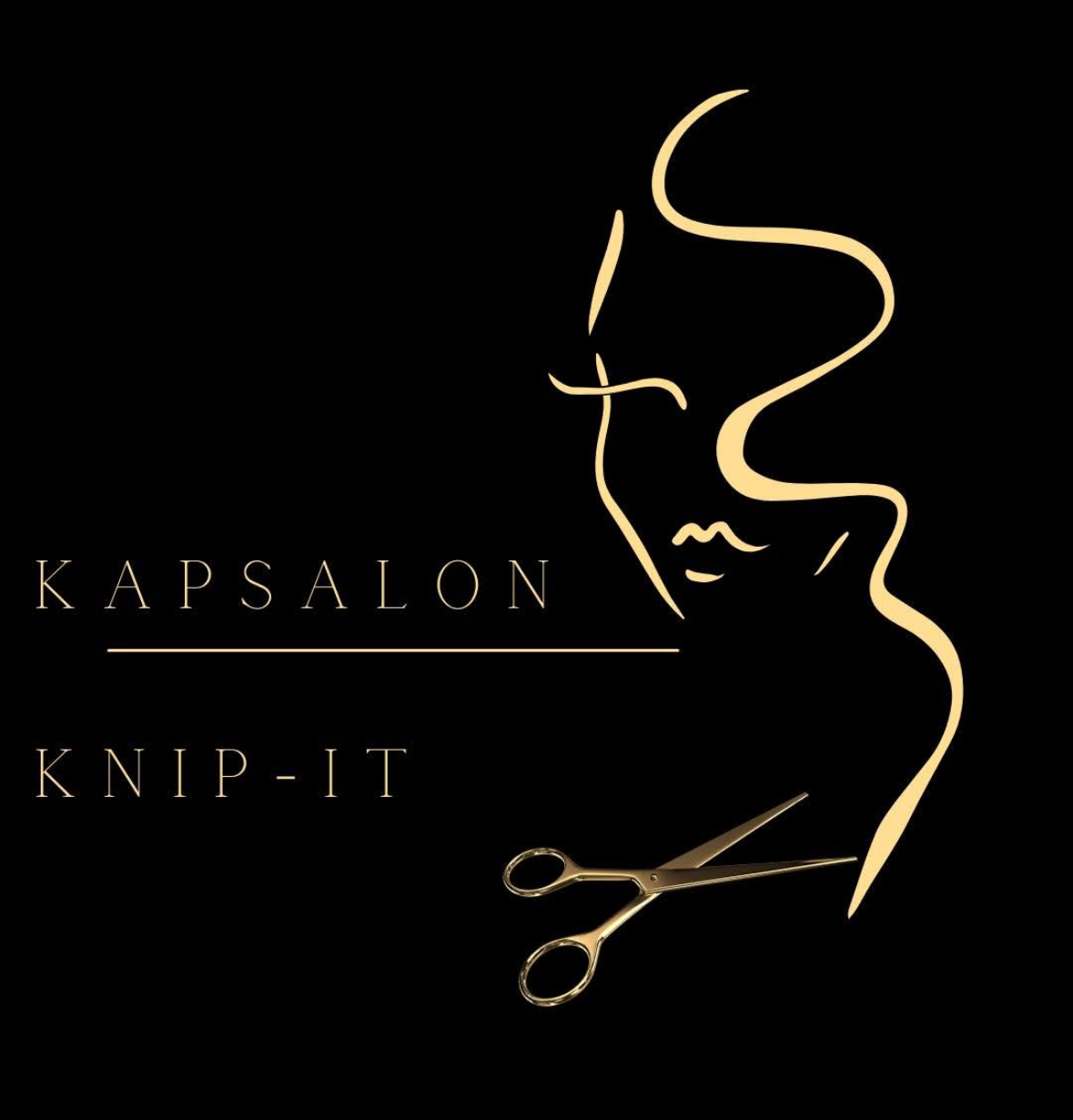 Kapsalon Knip It