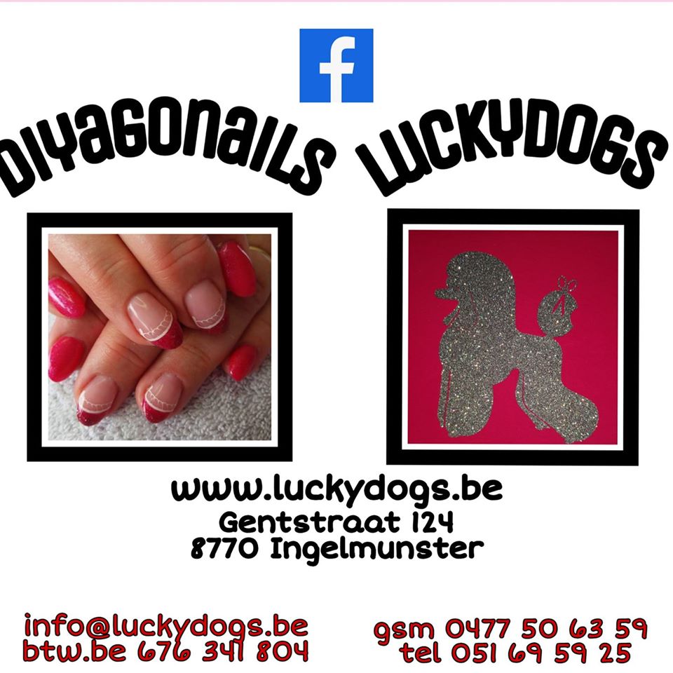 Lucky Dogs